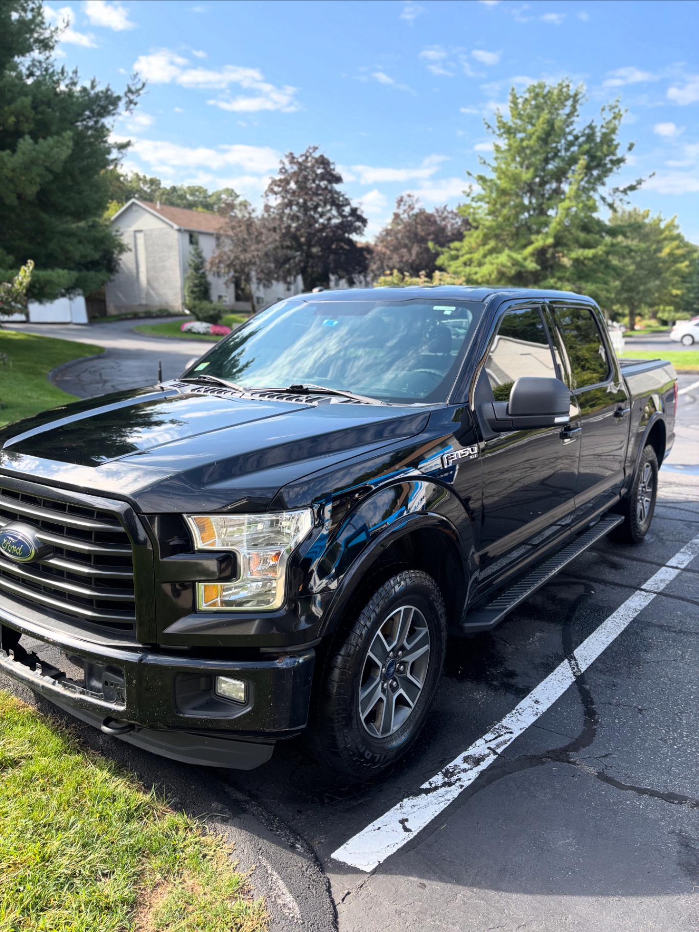 Black Ford F-150 after exterior detail